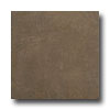 United States Ceramic Tile United States Ceramic Tile Concrete 18 X 18 Mahogany Tile  &  Ston