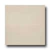 United States Ceramic Tile United States Ceramic Tile Luxor 12 X 12 Unpolished Ivory Tile  &