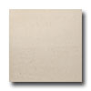 United States Ceramic Tile United States Ceramic Tile Luxor 16 X 16 Polished Ivory Tile  &  S