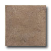 United States Ceramic Tile United States Ceramic Tile Palermo 12 X 12 Coffee Tile  &  Stone