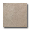 United States Ceramic Tile United States Ceramic Tile Palermo 6 X 6 Oyster Tile  &  Stone