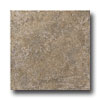 United States Ceramic Tile United States Ceramic Tile Tiburon 12 X 12 Moss Tile  &  Stone