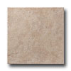 United States Ceramic Tile United States Ceramic Tile Tiburon 8 X 12 Vanilla Tile  &  Stone