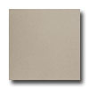 United States Ceramic Tile United States Ceramic Tile Color Collection 12 X 12 Solid Beige