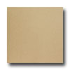 United States Ceramic Tile United States Ceramic Tile Color Collection 12 X 12 Solid Tan Ti