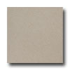 United States Ceramic Tile United States Ceramic Tile Color Collection 12 X 12 Speckle Beig