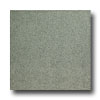 United States Ceramic Tile United States Ceramic Tile Color Collection 12 X 12 Speckle Gree