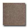 United States Ceramic Tile United States Ceramic Tile Color Collection 12 X 12 Speckle Moch