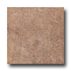 Incepa Incepa Siena 18 X 18 Marrone Tile  &  Stone