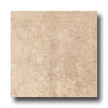 Incepa Incepa Siena 6 X 6 Noce Tile  &  Stone