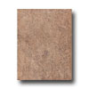 Incepa Incepa Siena 10 X 13 Marrone Tile  &  Stone