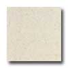 Daltile Daltile Granati Polished 12 X 12 Bianco Imperiale Tile  &  Stone