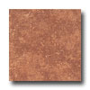 Incepa Incepa Venezia 13 X 13 Terra Tile  &  Stone