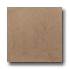 Laufen Laufen Murano 18 X 18 Nocce Tile  &  Stone