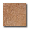 Laufen Laufen Tiberius 6 X 6 Amaretto Tile  &  Stone