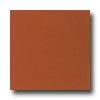Daltile Daltile Festiva 4 1 / 4 X 4 1 / 4 Copper Tile  &  Stone