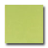 Daltile Daltile Festiva 6 X 6 Green Apple Tile  &  Stone