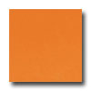 Daltile Daltile Festiva 6 X 6 Marmalade Tile  &  Stone