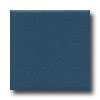 Daltile Daltile Keystones Unglazed Mosaic 1 X 1 Navy Tile  &  Stone