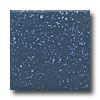 Daltile Daltile Keystones Unglazed Mosaic 1 X 1 Navy Speckle Tile  &  Ston