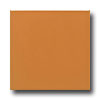 Daltile Daltile Keystones Unglazed Mosaic 2 X 2 Pumpkin Spice Tile  &  Sto
