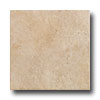 Rock & Rock Rock  &  Rock Shellstone 21 X 21 Beige Tile  &  Stone