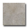 Rock & Rock Rock  &  Rock Shellstone 21 X 21 Gris Tile  &  Stone