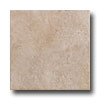 Rock & Rock Rock  &  Rock Shellstone 21 X 21 Marron Tile  &  Stone