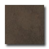 Rock & Rock Rock  &  Rock Montana 21 X 21 Marron Tile  &  Stone