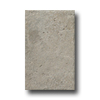 Rock & Rock Rock  &  Rock Shellstone 13 X 21 Gris Tile  &  Stone