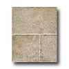 Rock & Rock Rock  &  Rock Shellstone Multi-format Marron Tile  &  Stone