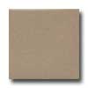 Daltile Daltile Keystones Unglazed Mosaic 3 X 3 Elemental Tan Tile  &  Sto