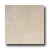 Daltile Daltile Marble Polished 12 X 12 Cafe Creme Marfil Select Tile  &