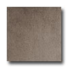 Rock & Rock Rock  &  Rock Packstone 24 X 24 Bambu Tile  &  Stone