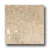 Daltile Daltile Limestone 12 X 12 Polished Napolina Tile  &  Stone