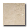 Daltile Daltile Marble Honed 12 X 12 Cafe Creme Marfil Classico Tile  &  S