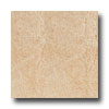 Rock & Rock Rock  &  Rock Sandstone 24 X 24 Arena Tile  &  Stone