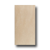 Roca Roca Avila 12 X 24 Arena Tile  &  Stone