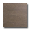 Roca Roca Avila 18 X 18 Alga Tile  &  Stone