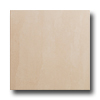 Roca Roca Avila 18 X 18 Arena Tile  &  Stone
