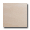 Roca Roca Avila 18 X 18 Blanco Tile  &  Stone