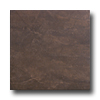 Roca Roca Avila 18 X 18 Marron Tile  &  Stone