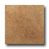Roca Roca Gotica 18 X 18 Ocre Tile  &  Stone