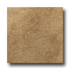 Roca Roca Gotica 6 X 6 Marron Tile  &  Stone