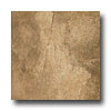 Ragno Ragno Borgoforte 18 X 18 Perugia Brown Tile  &  Stone