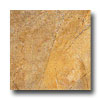 Ragno Ragno Burgundy 20 X 20 Gold Tile  &  Stone