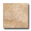 Ragno Ragno Burgundy 13 X 13 Grigio Tile  &  Stone