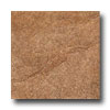Ragno Ragno Burgundy 13 X 13 Terracotta Tile  &  Stone