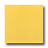 Roca Roca Rainbow 12 X 12 Amarillo Tile  &  Stone