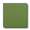 Roca Roca Rainbow 12 X 12 Verde Tile  &  Stone
